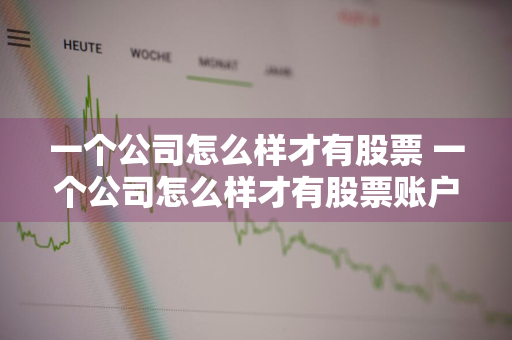 一个公司怎么样才有股票 一个公司怎么样才有股票账户