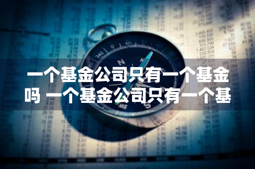 一个基金公司只有一个基金吗 一个基金公司只有一个基金吗知乎