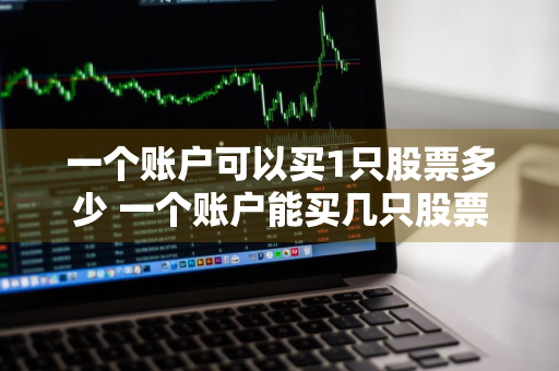 一个账户可以买1只股票多少 一个账户能买几只股票