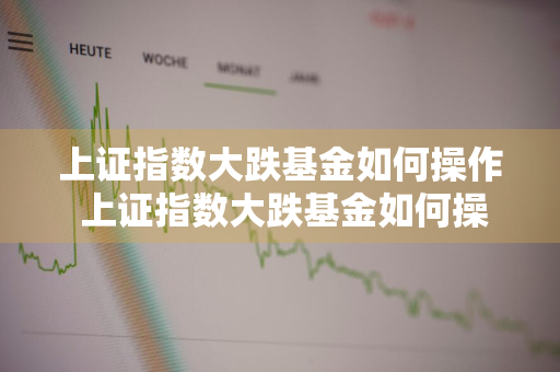 上证指数大跌基金如何操作 上证指数大跌基金如何操作的