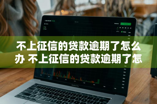 不上征信的贷款逾期了怎么办 不上征信的贷款逾期了怎么办呢