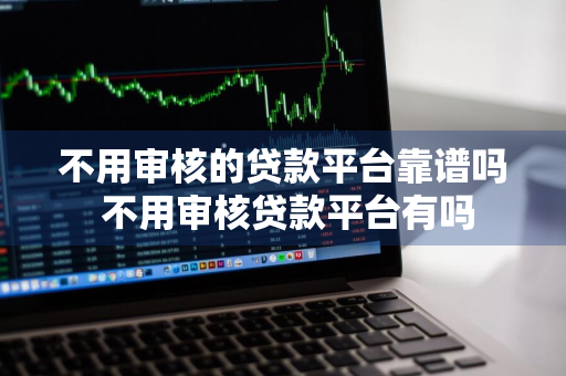 不用审核的贷款平台靠谱吗 不用审核贷款平台有吗