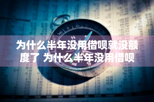 为什么半年没用借呗就没额度了 为什么半年没用借呗就没额度了呢