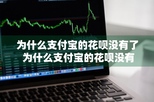 为什么支付宝的花呗没有了 为什么支付宝的花呗没有了呢