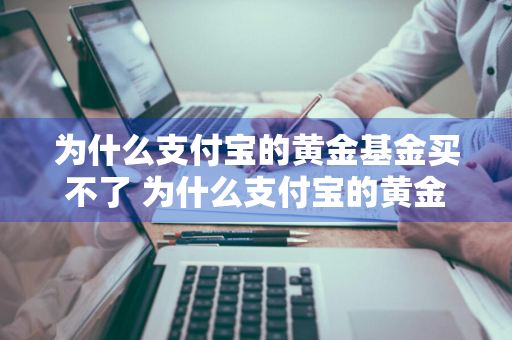 为什么支付宝的黄金基金买不了 为什么支付宝的黄金基金买不了了