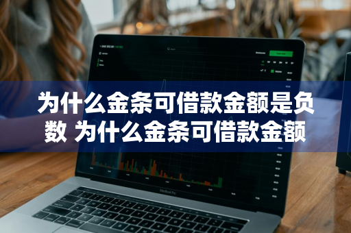 为什么金条可借款金额是负数 为什么金条可借款金额是负数的