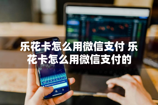 乐花卡怎么用微信支付 乐花卡怎么用微信支付的