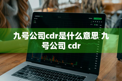 九号公司cdr是什么意思 九号公司 cdr