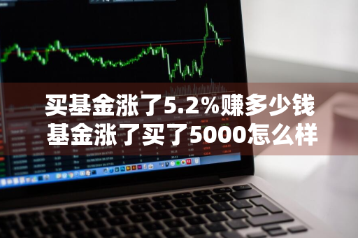 买基金涨了5.2%赚多少钱 基金涨了买了5000怎么样