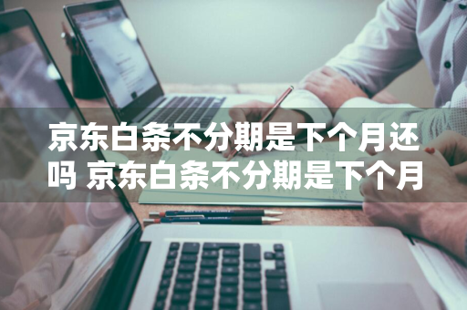 京东白条不分期是下个月还吗 京东白条不分期是下个月还吗