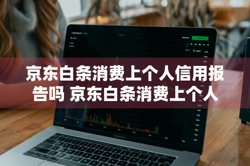 京东白条消费上个人信用报告吗 京东白条消费上个人信用报告吗安全吗