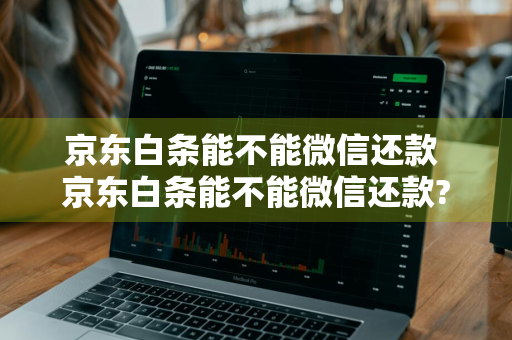 京东白条能不能微信还款 京东白条能不能微信还款?