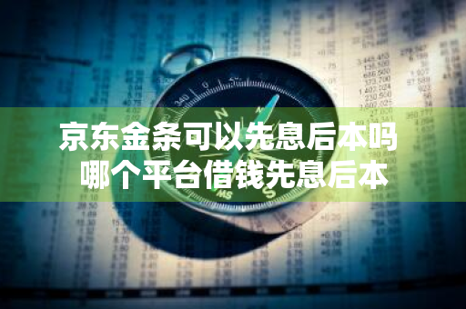 京东金条可以先息后本吗 哪个平台借钱先息后本