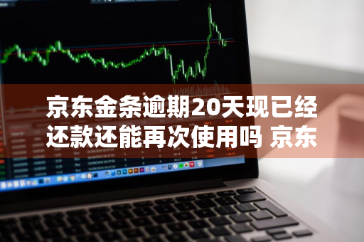 京东金条逾期20天现已经还款还能再次使用吗 京东金条逾期20天现已经还款还能再次使用吗