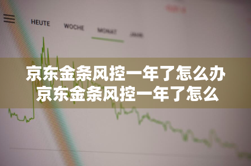 京东金条风控一年了怎么办 京东金条风控一年了怎么办理
