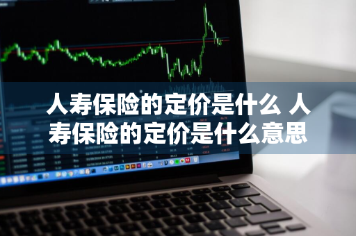 人寿保险的定价是什么 人寿保险的定价是什么意思