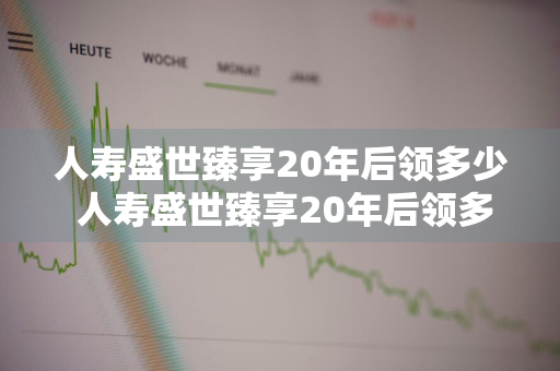 人寿盛世臻享20年后领多少 人寿盛世臻享20年后领多少钱