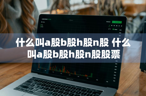 什么叫a股b股h股n股 什么叫a股b股h股n股股票