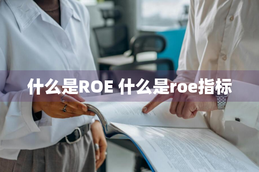 什么是ROE 什么是roe指标