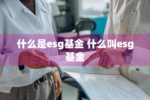 什么是esg基金 什么叫esg基金