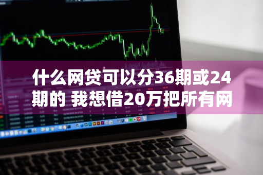 什么网贷可以分36期或24期的 我想借20万把所有网贷还清