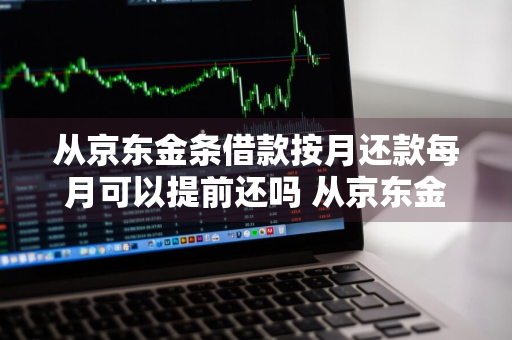 从京东金条借款按月还款每月可以提前还吗 从京东金条借款按月还款每月可以提前还吗