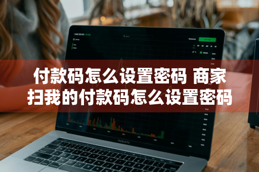 付款码怎么设置密码 商家扫我的付款码怎么设置密码