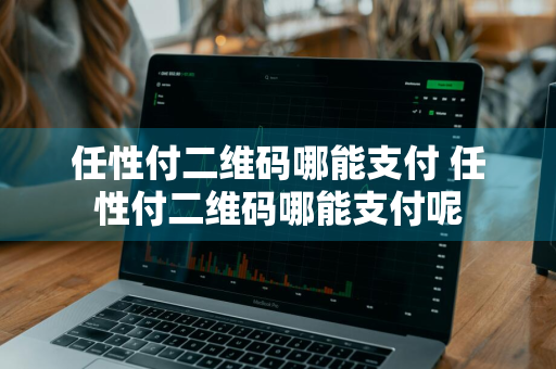 任性付二维码哪能支付 任性付二维码哪能支付呢