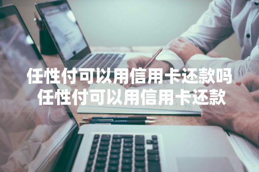 任性付可以用信用卡还款吗 任性付可以用信用卡还款吗