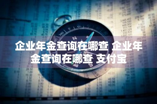 企业年金查询在哪查 企业年金查询在哪查 支付宝