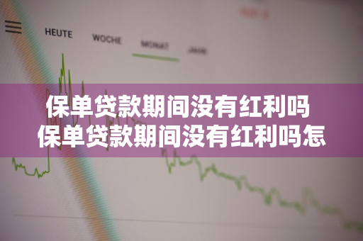 保单贷款期间没有红利吗 保单贷款期间没有红利吗怎么办