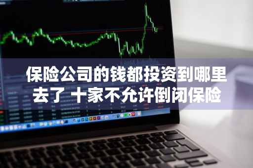 保险公司的钱都投资到哪里去了 十家不允许倒闭保险公司