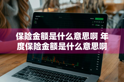 保险金额是什么意思啊 年度保险金额是什么意思啊