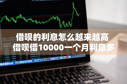 借呗的利息怎么越来越高 借呗借10000一个月利息多少