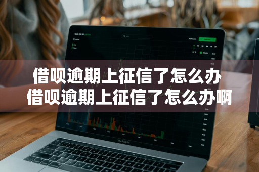 借呗逾期上征信了怎么办 借呗逾期上征信了怎么办啊