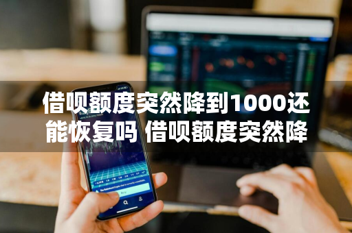 借呗额度突然降到1000还能恢复吗 借呗额度突然降到1000还能恢复吗知乎