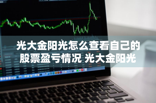 光大金阳光怎么查看自己的股票盈亏情况 光大金阳光怎么查看自己的股票盈亏情况