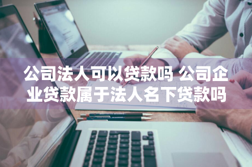 公司法人可以贷款吗 公司企业贷款属于法人名下贷款吗