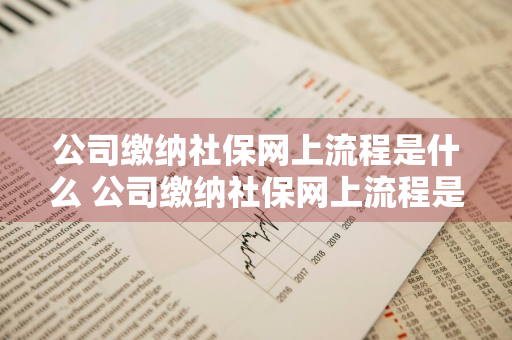 公司缴纳社保网上流程是什么 公司缴纳社保网上流程是什么样的