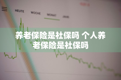 养老保险是社保吗 个人养老保险是社保吗