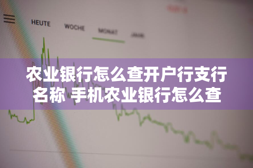 农业银行怎么查开户行支行名称 手机农业银行怎么查开户行支行名称