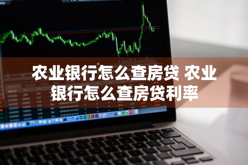 农业银行怎么查房贷 农业银行怎么查房贷利率