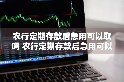 农行定期存款后急用可以取吗 农行定期存款后急用可以取吗安全吗