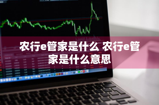 农行e管家是什么 农行e管家是什么意思