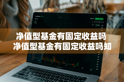 净值型基金有固定收益吗 净值型基金有固定收益吗知乎