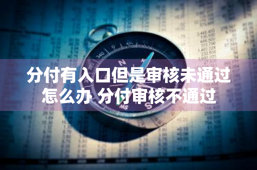 分付有入口但是审核未通过怎么办 分付审核不通过