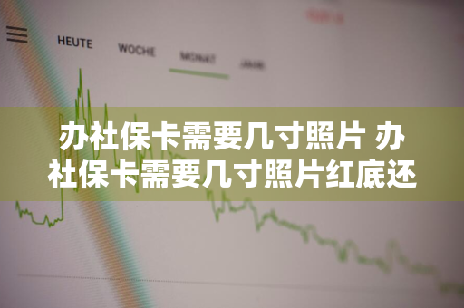 办社保卡需要几寸照片 办社保卡需要几寸照片红底还是蓝底