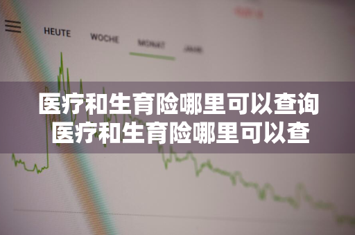 医疗和生育险哪里可以查询 医疗和生育险哪里可以查询到