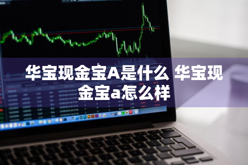 华宝现金宝A是什么 华宝现金宝a怎么样