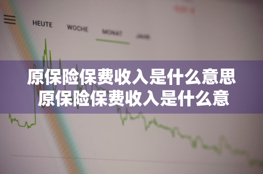 原保险保费收入是什么意思 原保险保费收入是什么意思呢